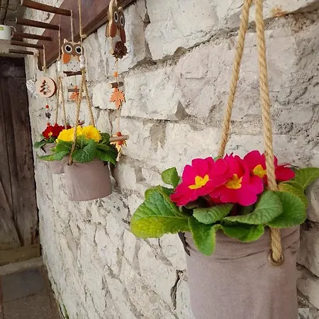 Kalipe Dolomiti アパート