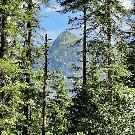 Kalipe Dolomiti