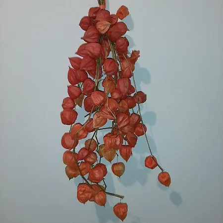 Kalipe Dolomiti アパート