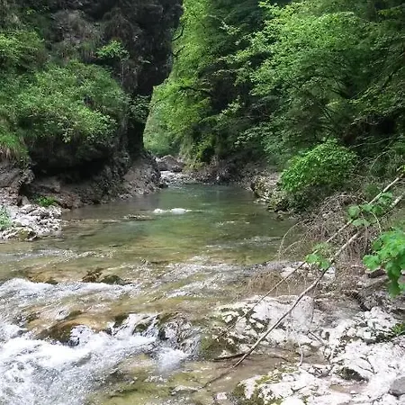 Апартаменты Kalipe Dolomiti