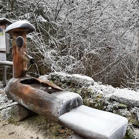 Kalipe Dolomiti アパート