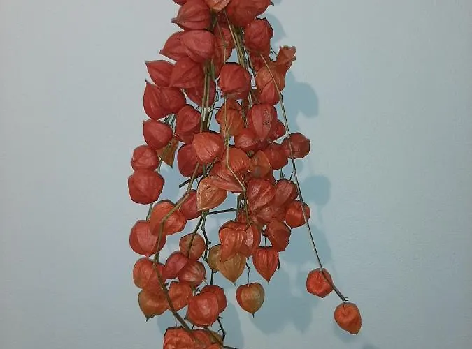 Kalipe Dolomiti Appartement