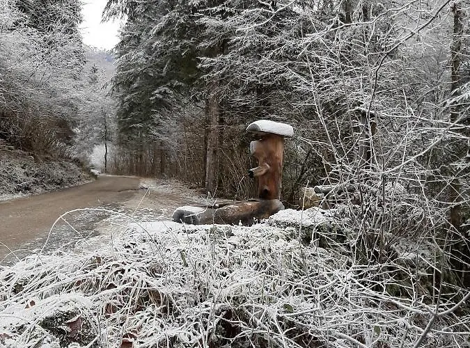 Kalipe Dolomiti Appartement Soffranco