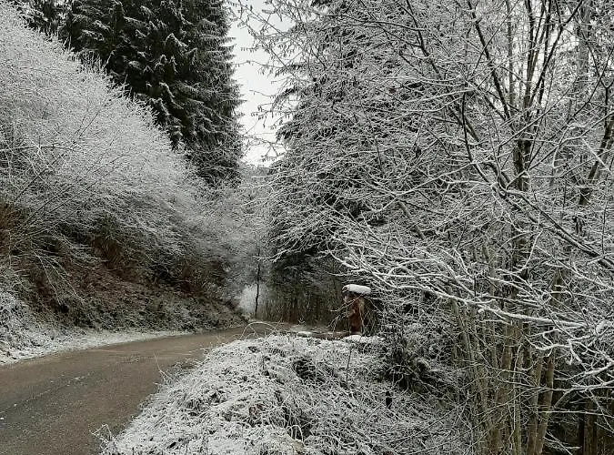 Apartman Kalipe Dolomiti